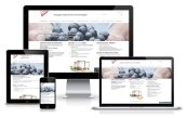 Weblogiq referencia